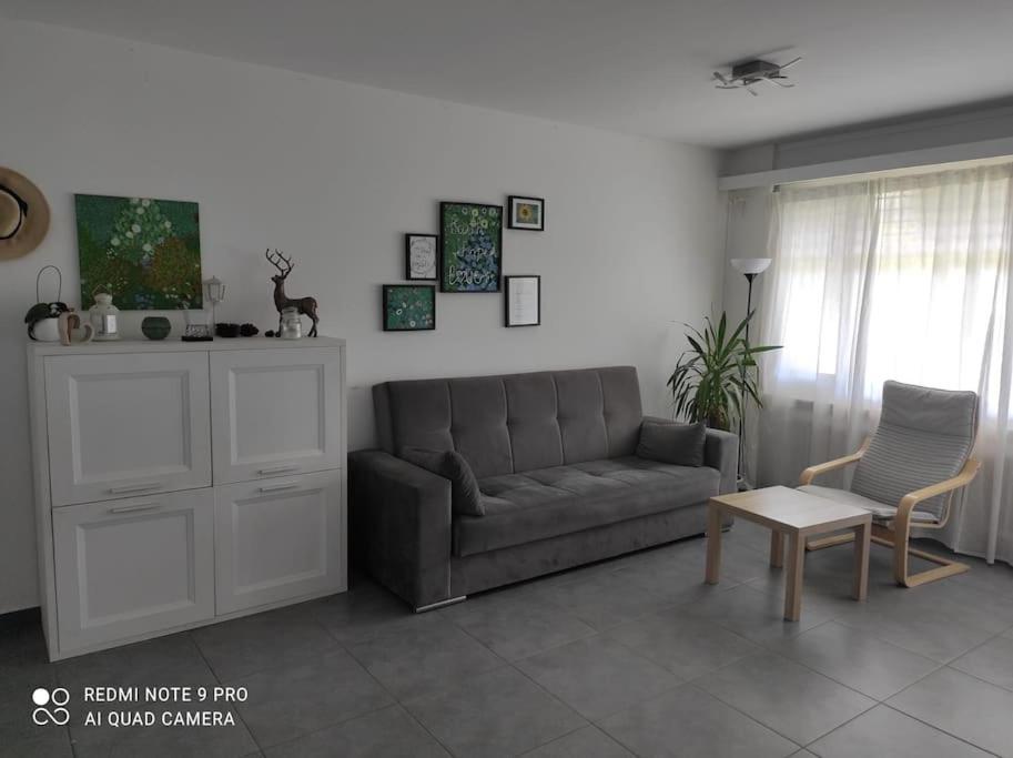Green Apartment Ponte Capriasca Ngoại thất bức ảnh